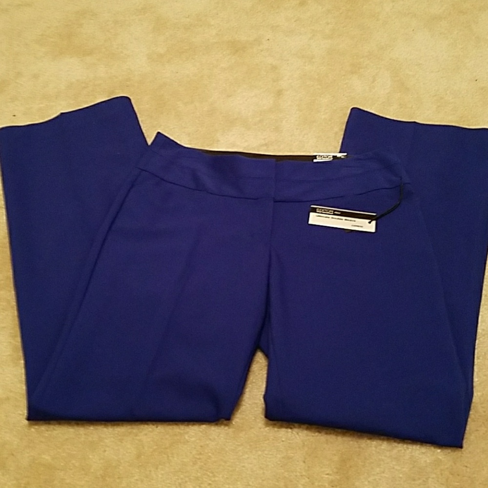 Express Editor Flare Leg Slacks Size 8R